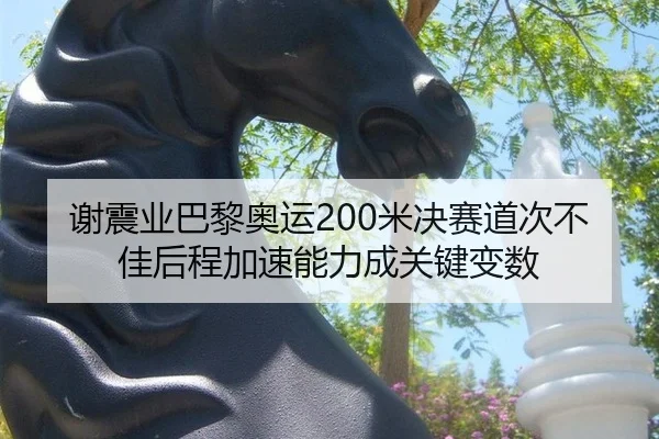 xie-zhen-ye-ba-li-ao-yun-mi-jue-sai-dao-ci-bu-jia-hou-cheng-jia-su-neng-li-cheng-guan-jian-bian-shu-2-669.jpg