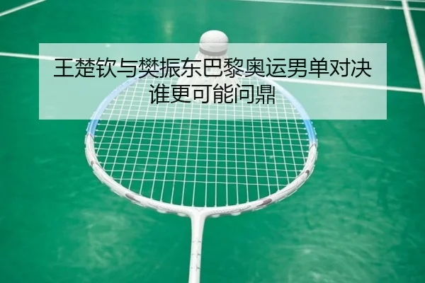 王楚钦与樊振东巴黎奥运男单对决 谁更可能问鼎