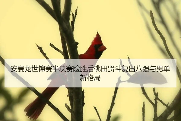 an-sai-long-shi-jin-sai-ban-jue-sai-xian-sheng-hou-tao-tian-xian-dou-fu-chu-ba-qiang-yu-nan-dan-xin-ge-ju-3-358.jpg